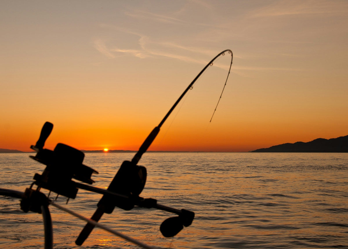 Fishing Gear and Supplies