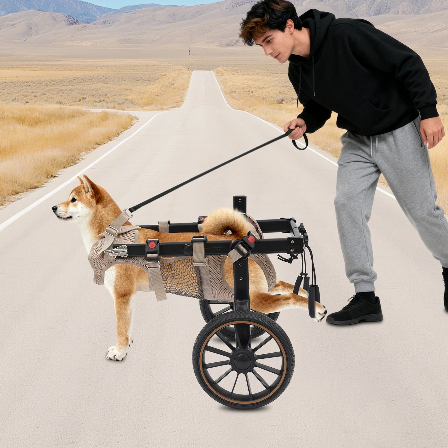 Bymaocar Adjustable Aluminum Dog Wheelchair Hind Leg Support