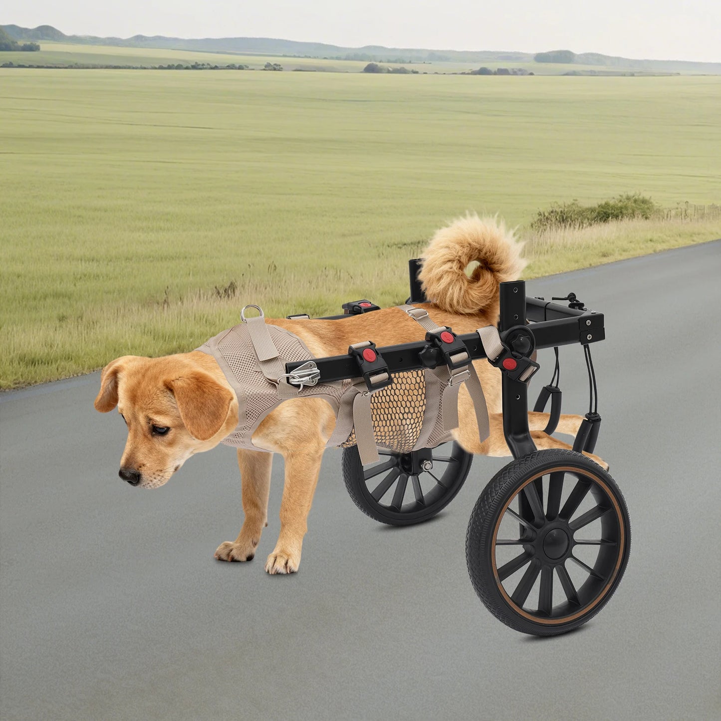 Bymaocar Adjustable Aluminum Dog Wheelchair Hind Leg Support