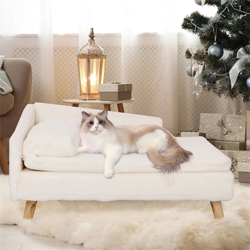 BORWART CN Elevated Dog Sofa Bed With Backrest