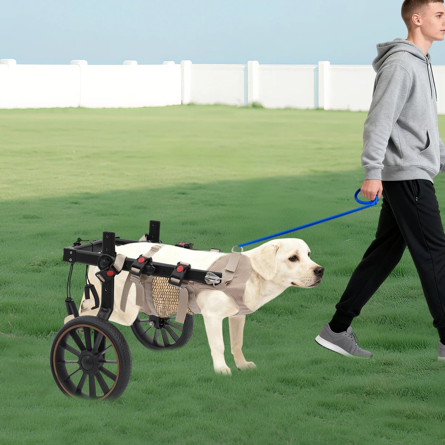 Bymaocar Adjustable Aluminum Dog Wheelchair Hind Leg Support