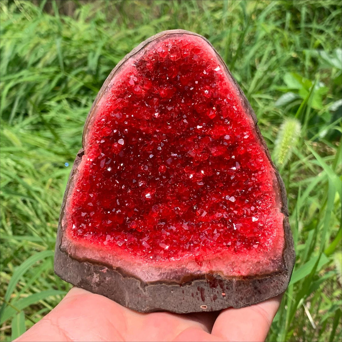 CrystalHola Natural Quartz Crystal Cluster Geode