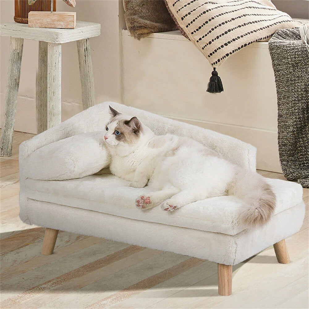 BORWART CN Elevated Dog Sofa Bed With Backrest