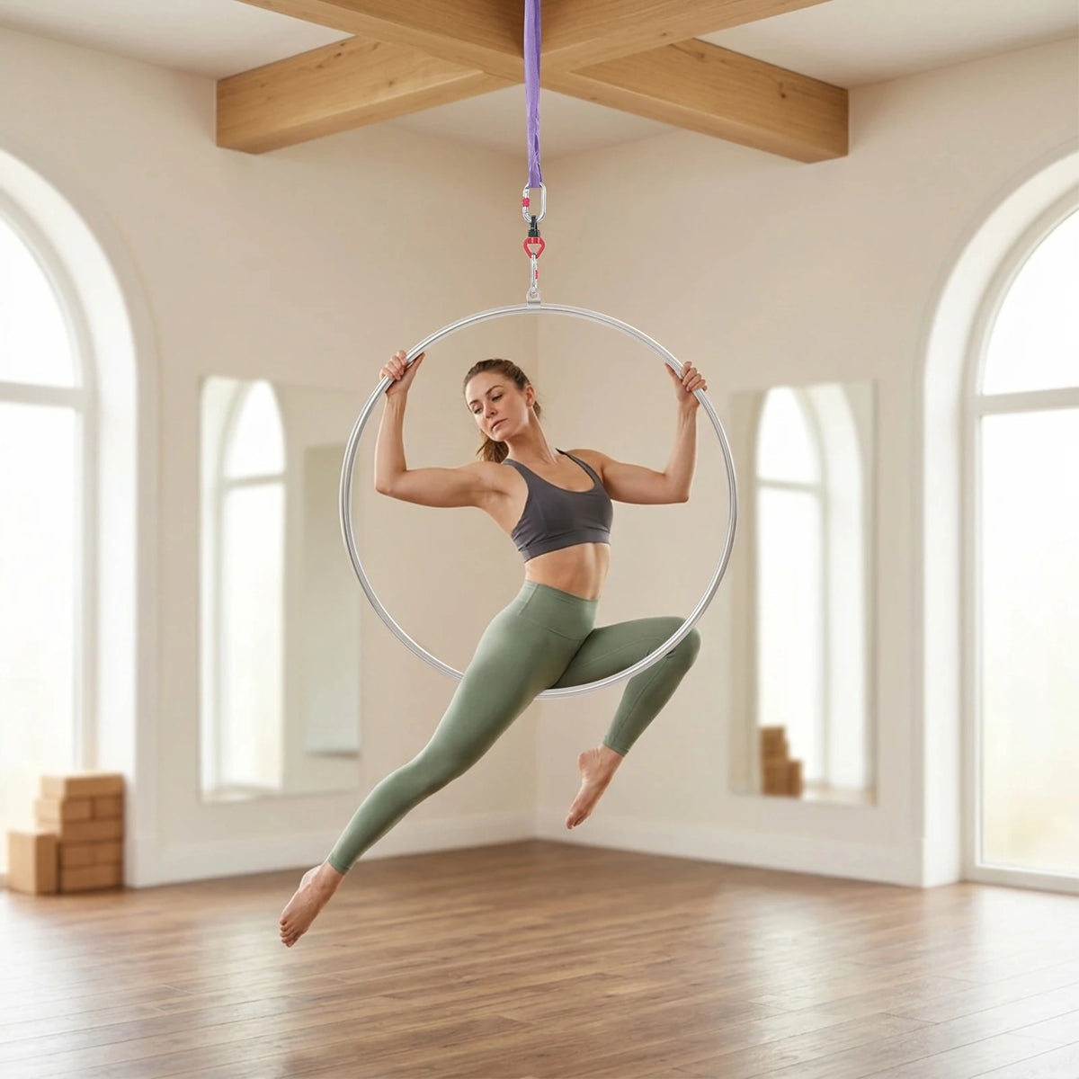 Aerial Hoop Kit Stainless Steel Lyra Ring