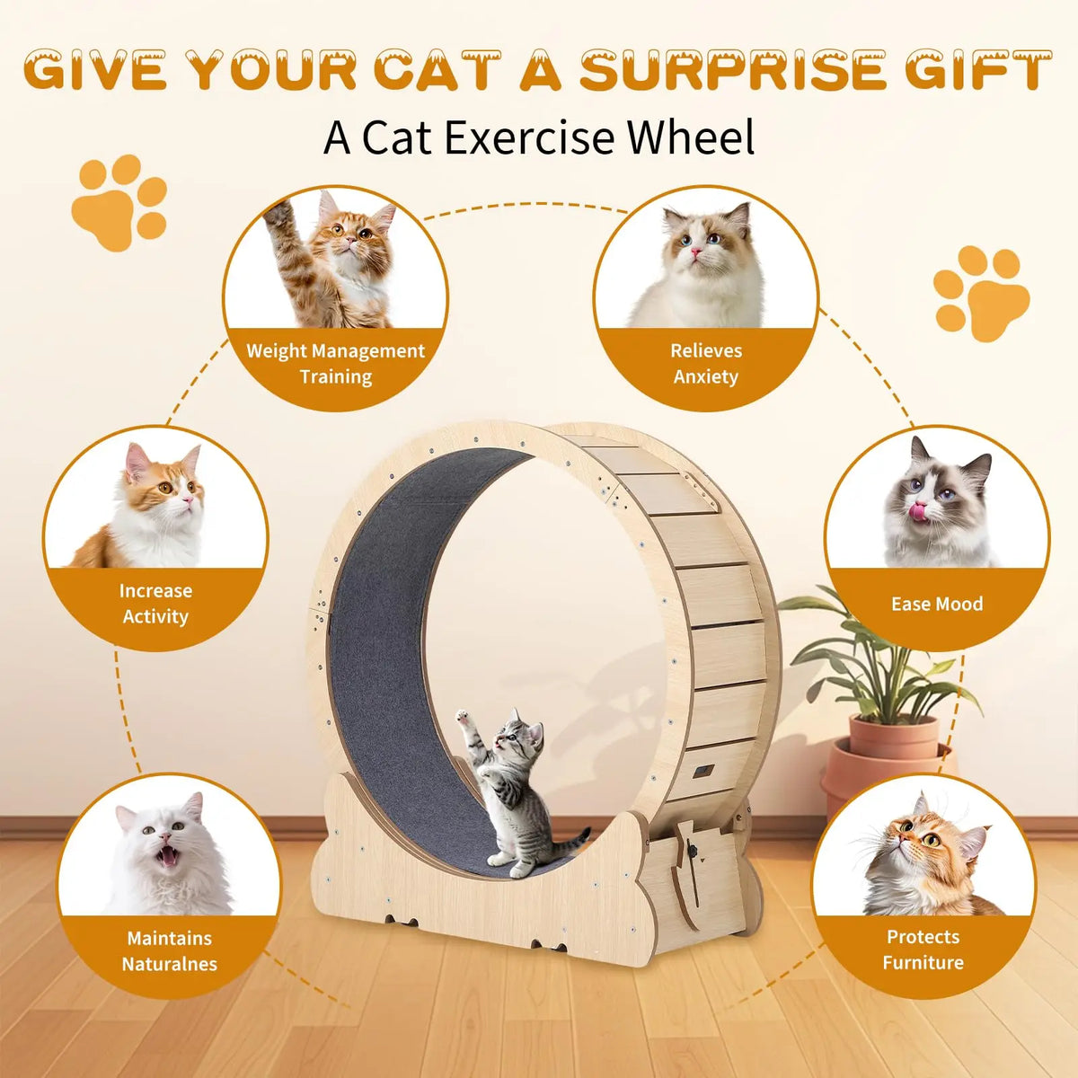 HiMISS Cat Exercise Wheel For Indoor Cats