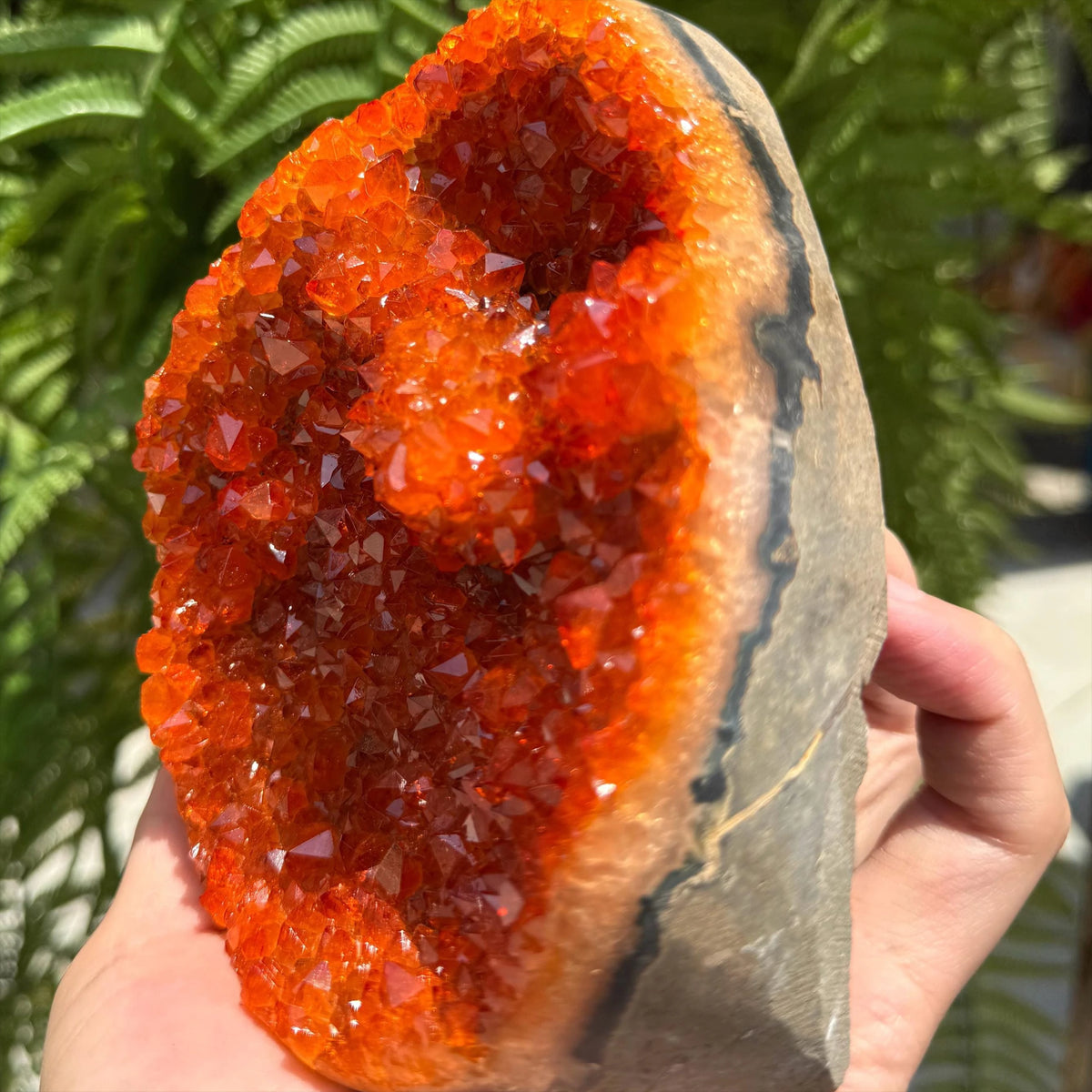 CrystalHola Natural Quartz Crystal Cluster Geode