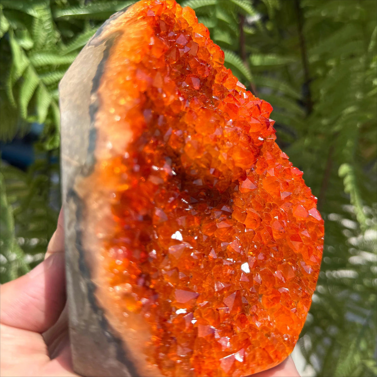 CrystalHola Natural Quartz Crystal Cluster Geode
