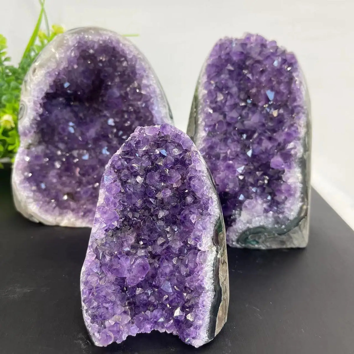 CrystalHola Natural Quartz Crystal Cluster Geode