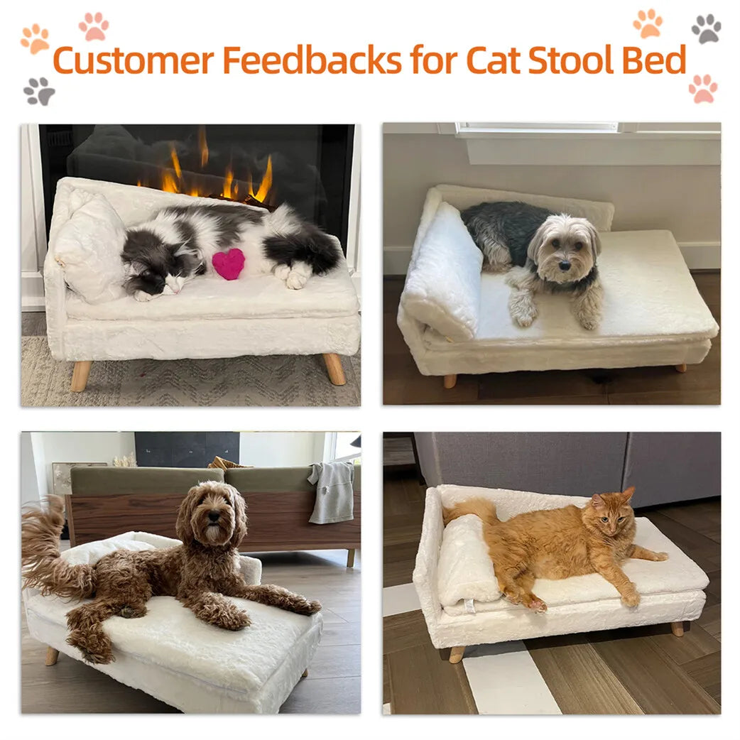 BORWART CN Elevated Dog Sofa Bed With Backrest