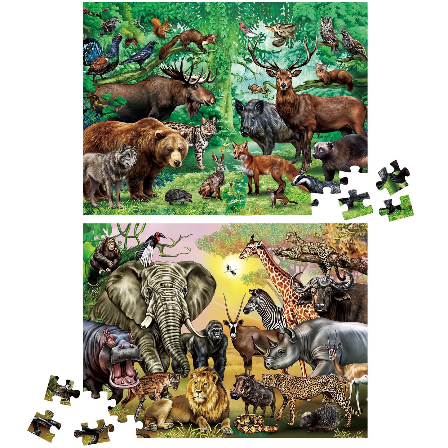 Wild Animals Double Sided 100 Piece Learning Jigsaw Puzzle