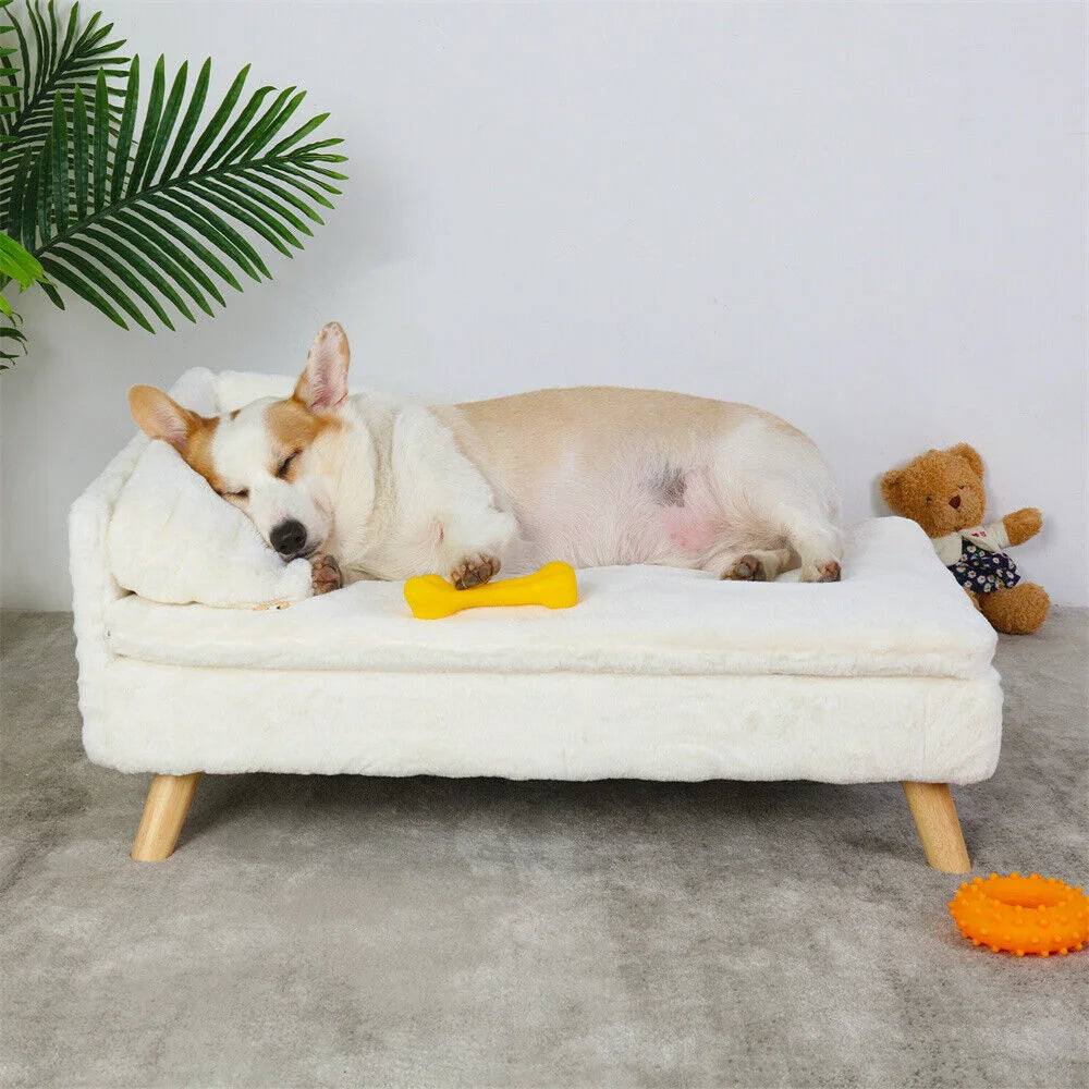 BORWART CN Elevated Dog Sofa Bed With Backrest