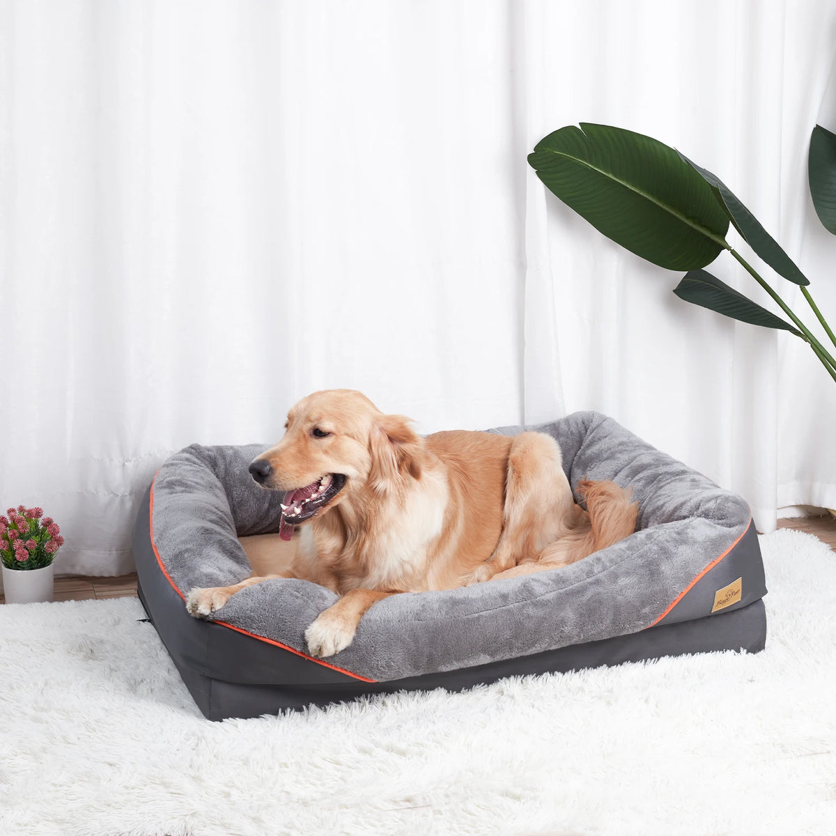 BINGOPAW Large Dog Bed With Washable Waterproof Cover