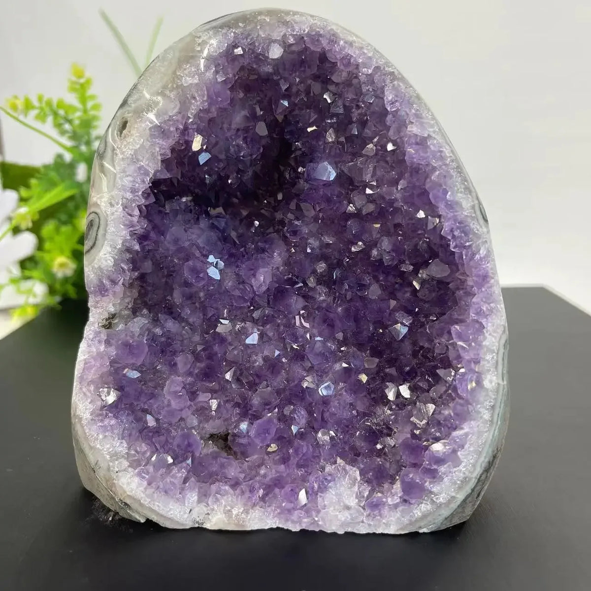 CrystalHola Natural Quartz Crystal Cluster Geode