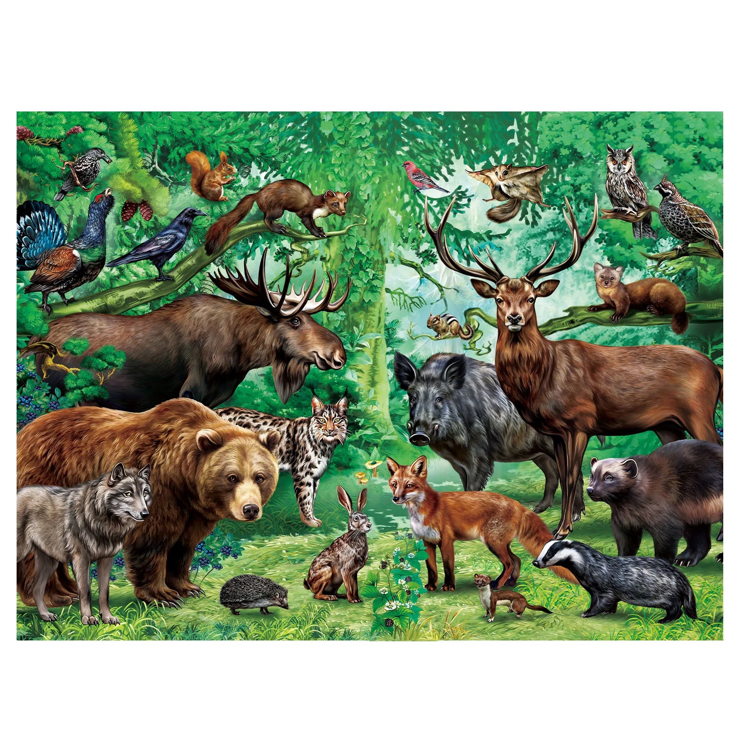 Wild Animals Double Sided 100 Piece Learning Jigsaw Puzzle