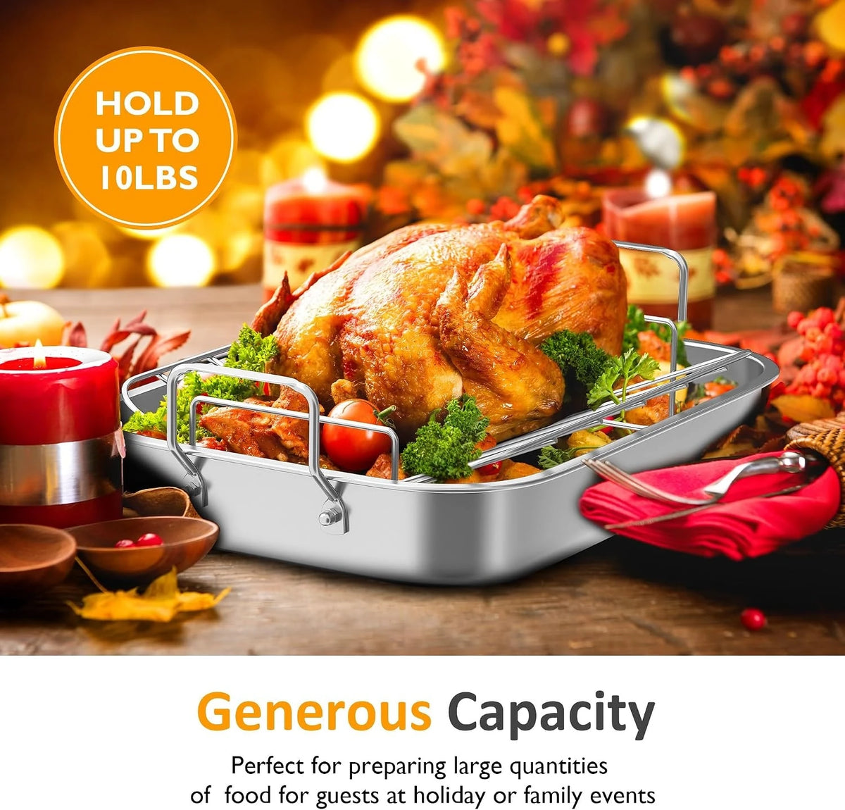Stainless Steel Roasting Pan With V Shaped Rack
